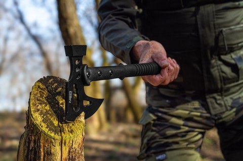 TOPOREK TAKTYCZNY TOPOREK TAKTYCZNY