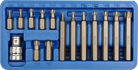 ZESTAW BITÓW TORX T20-T55 15 SZTUK ZESTAW BITÓW TORX T20-T55 15 SZTUK