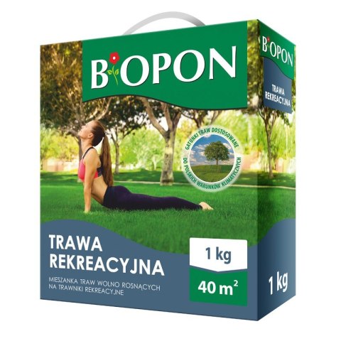 TRAWA REKREACYJNA 1 KG TRAWA REKREACYJNA 1 KG