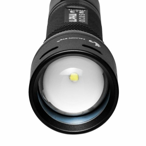 LATARKA RĘCZNA FALCON EYE Z FOKUSEM 3*AAA 300LM LATARKA RĘCZNA FALCON EYE Z FOKUSEM 3*AAA 300LM