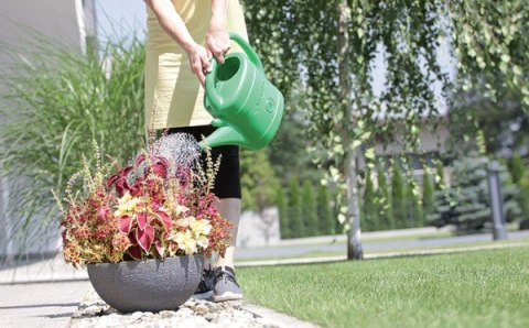 KONEWKA PLASTIKOWA 14L SPRING - ZIELONY KONEWKA PLASTIKOWA 14L SPRING - ZIELONY