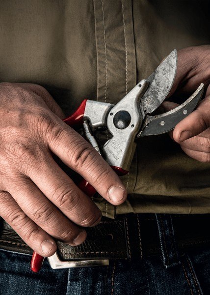 SEKATOR JEDNORĘCZNY - NOŻYCE DO PRZYCINANIA SEKATOR JEDNORĘCZNY - NOŻYCE DO PRZYCINANIA